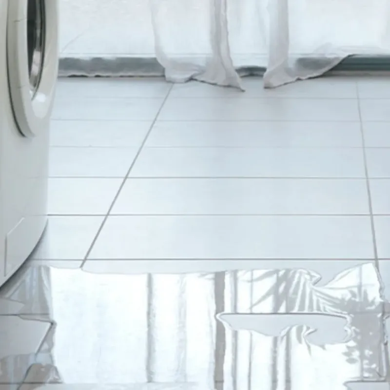 Appliance Leak Cleanup in Homeland Park, SC