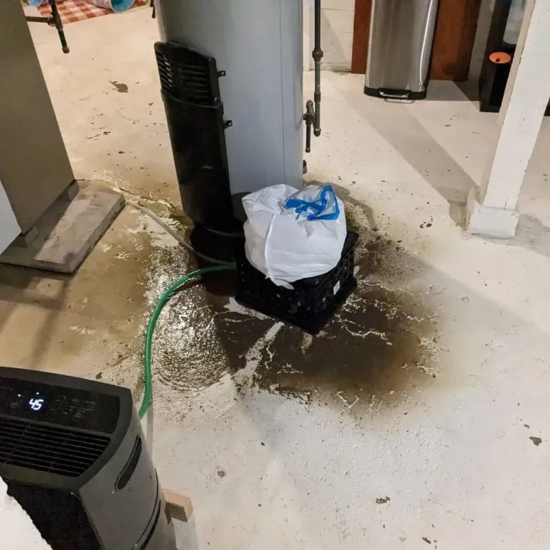 Sewage Backup Cleanup Service in Homeland Park, SC